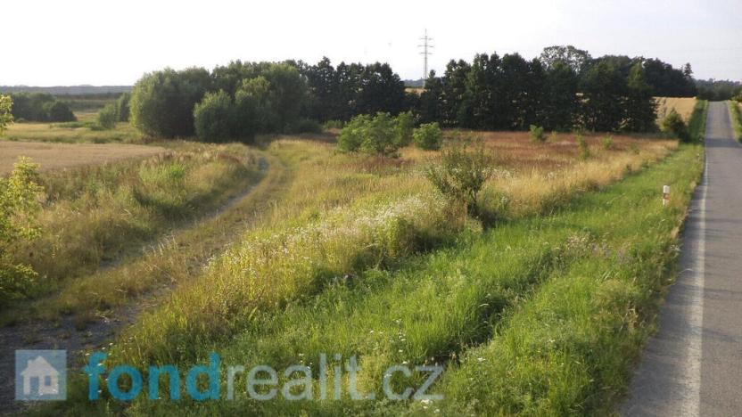 Prodej pozemku, Pustějov, 9886 m2