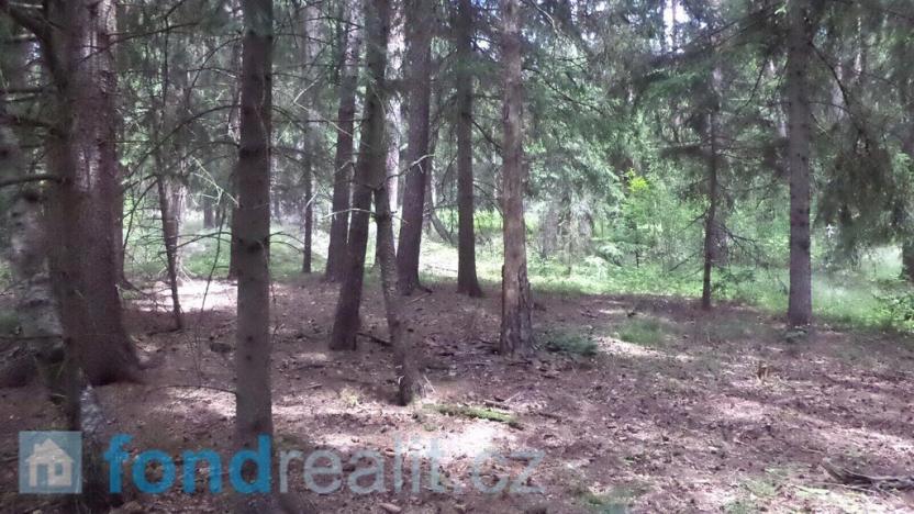 Prodej pole, Číměř, 19541 m2