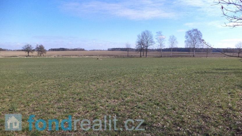 Prodej pole, Stříbřec, 10919 m2