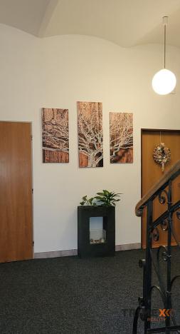 Pronájem kanceláře, Ostrava - Přívoz, Fügnerova, 40 m2