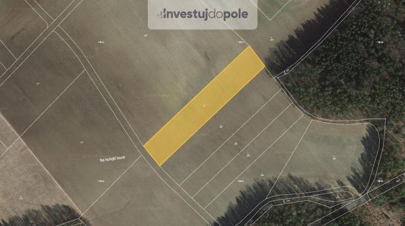 Prodej louky, Cheznovice, 7448 m2