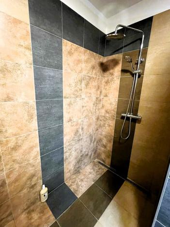 Prodej rodinného domu, Plzeň - Východní Předměstí, Stanko Vodičky, 218 m2