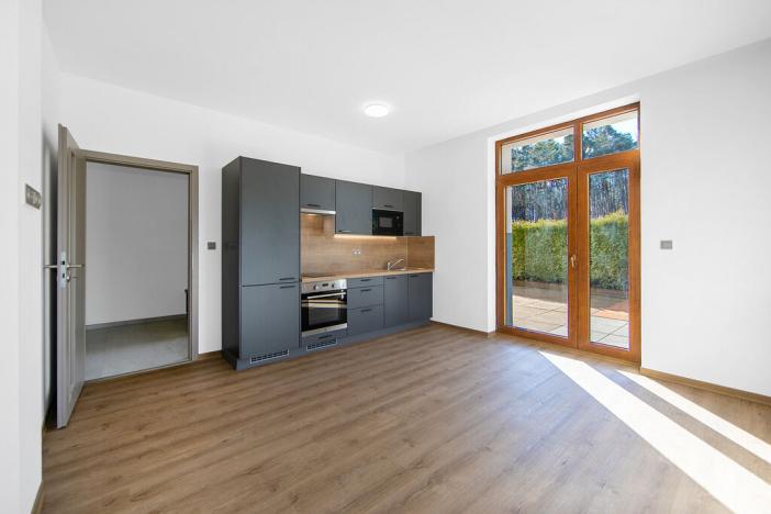 Pronájem bytu 1+kk, Plzeň - Severní Předměstí, Bolevecká, 66 m2