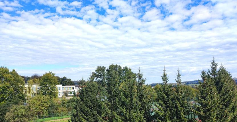 Prodej bytu 3+kk, Světlá nad Sázavou, Lánecká, 92 m2