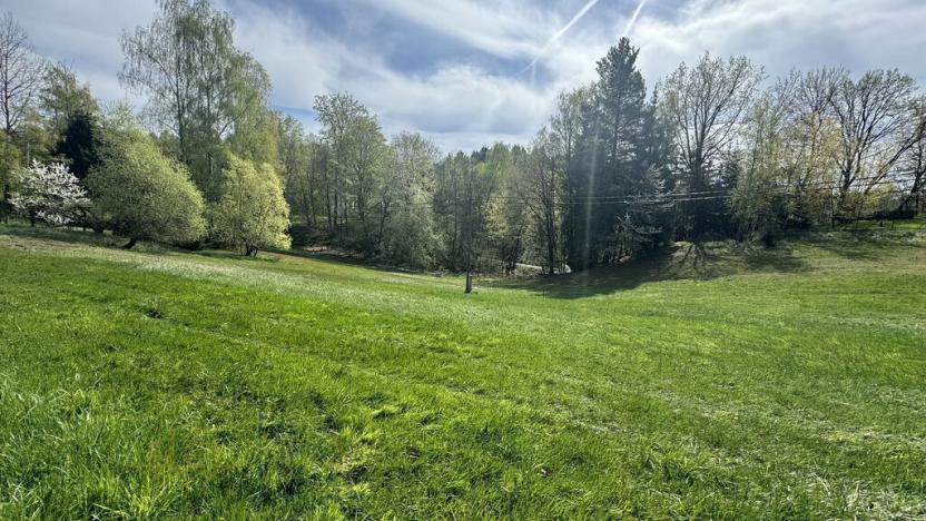 Prodej pozemku, Nová Paka - Zlámaniny, 3116 m2