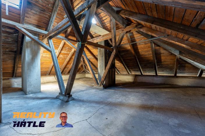 Prodej ubytování, Osečná - Druzcov, 510 m2