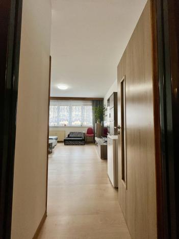 Pronájem bytu 1+kk, Havířov - Šumbark, Střední, 30 m2