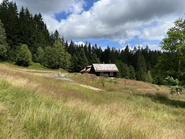 Prodej pozemku, Staré Hamry, 70000 m2