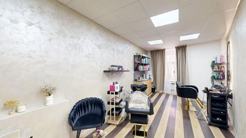 Prodej obchodního prostoru, Třebíč - Vnitřní Město, Hasskova, 294 m2