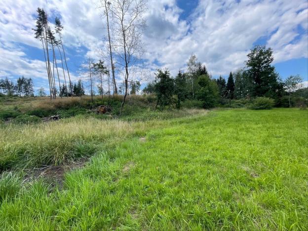 Prodej pozemku, Nová Cerekev - Částkovice, 2131 m2