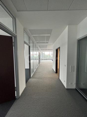 Pronájem kanceláře, Brno - Žabovřesky, Veveří, 1129 m2