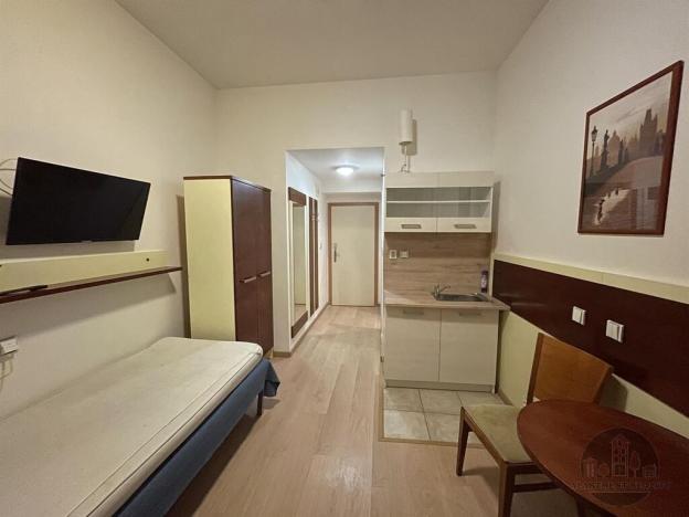Pronájem bytu 1+kk, Praha - Žižkov, Prokopova, 16 m2
