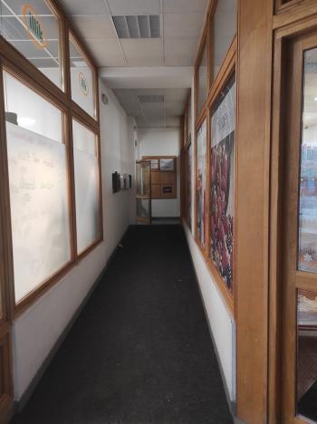 Pronájem kanceláře, Ostrava - Moravská Ostrava, 28. října, 110 m2