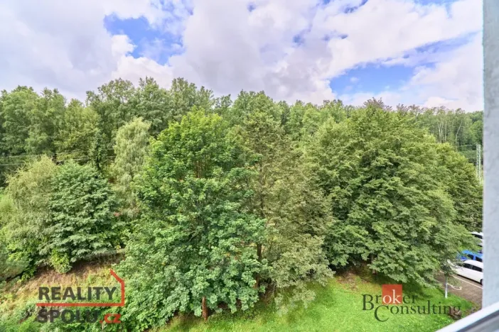 Pronájem bytu 3+1, Kraslice, Družstevní, 62 m2