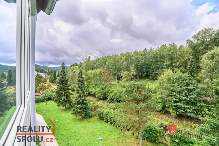 Pronájem bytu 3+1, Kraslice, Družstevní, 62 m2