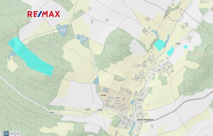 Prodej lesa, Horní Radouň, 28141 m2