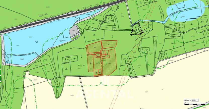 Prodej lesa, Stonava, 21432 m2
