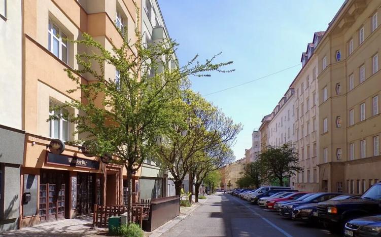 Pronájem bytu 1+1, Brno, Gorkého, 45 m2