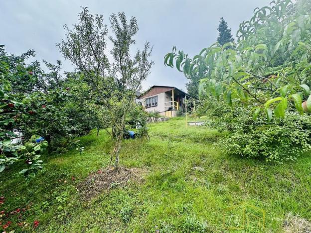 Prodej zahrady, Ústí nad Labem - Klíše, 970 m2