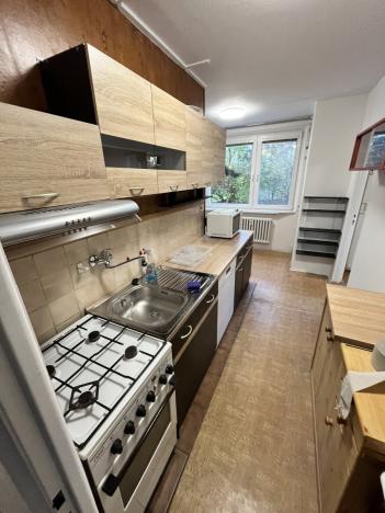 Pronájem bytu 3+1, Olomouc - Nová Ulice, Za vodojemem, 71 m2