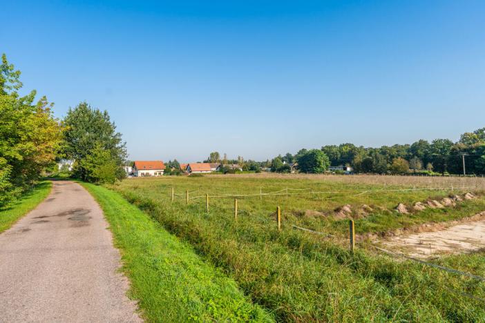 Prodej pozemku pro bydlení, Valy, Lepějovická, 4042 m2