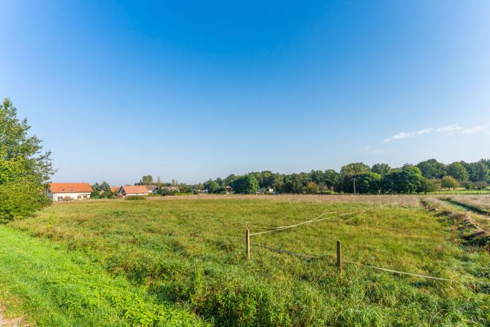 Prodej pozemku pro bydlení, Valy, Lepějovická, 4042 m2