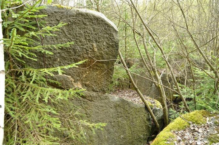 Prodej pozemku, Chodová Planá, 19816 m2