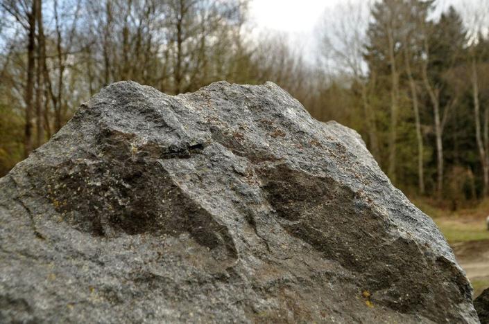 Prodej pozemku, Chodová Planá, 19816 m2