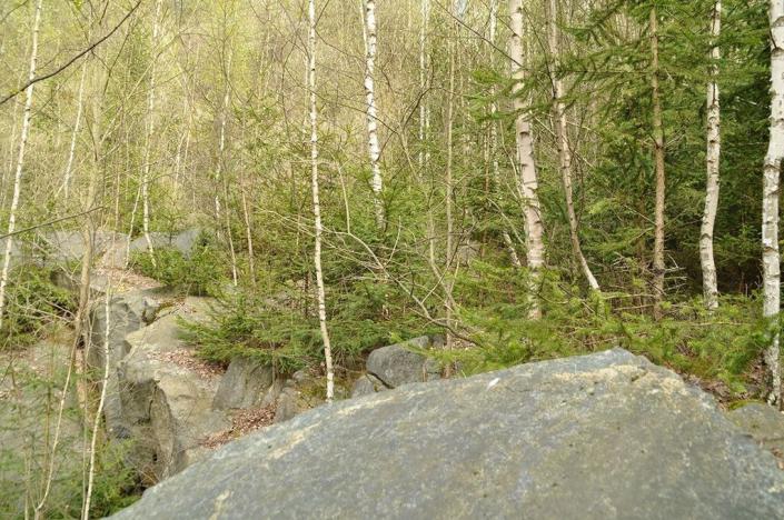 Prodej pozemku, Chodová Planá, 19816 m2