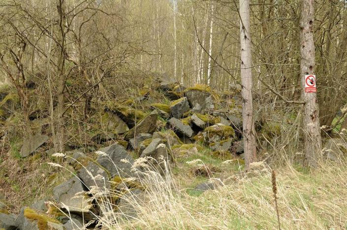 Prodej pozemku, Chodová Planá, 19816 m2