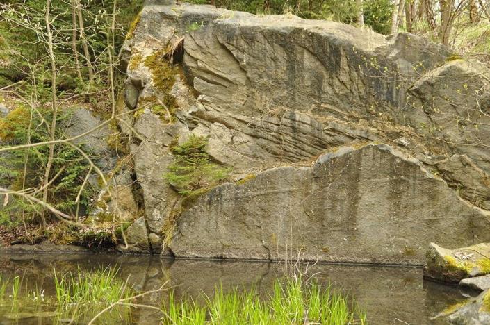 Prodej pozemku, Chodová Planá, 19816 m2