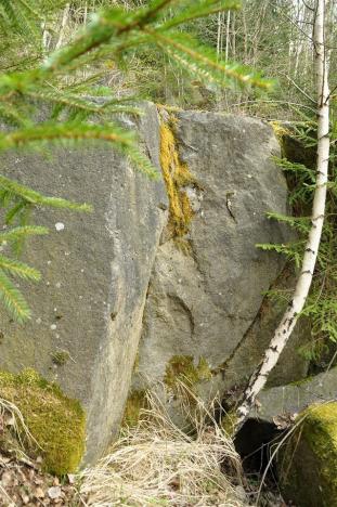 Prodej pozemku, Chodová Planá, 19816 m2