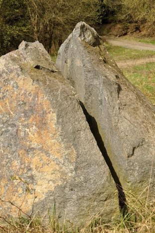Prodej pozemku, Chodová Planá, 19816 m2