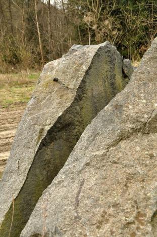 Prodej pozemku, Chodová Planá, 19816 m2
