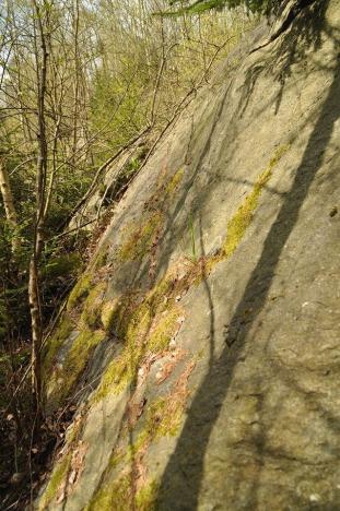 Prodej pozemku, Chodová Planá, 19816 m2