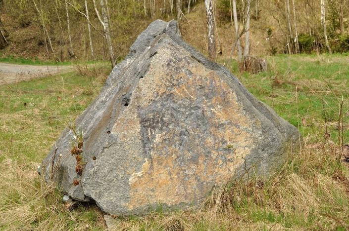 Prodej pozemku, Chodová Planá, 19816 m2