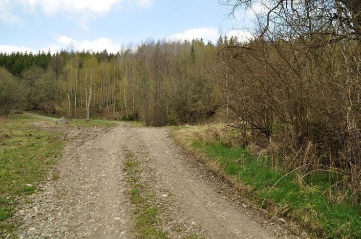 Prodej pozemku, Chodová Planá, 19816 m2