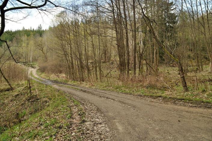 Prodej pozemku, Chodová Planá, 19816 m2