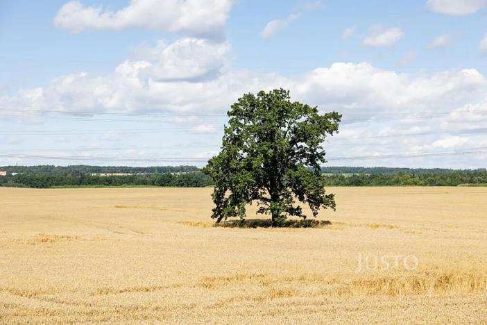 Prodej rodinného domu, Libníč, 124 m2