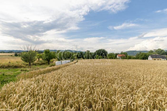 Prodej pozemku pro bydlení, Vražné, 4254 m2