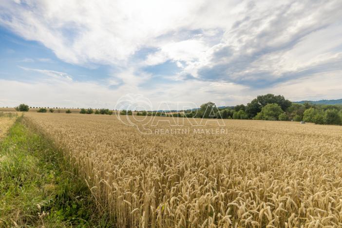Prodej pozemku pro bydlení, Vražné, 4254 m2