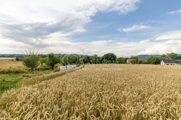 Prodej pozemku pro bydlení, Vražné, 4254 m2