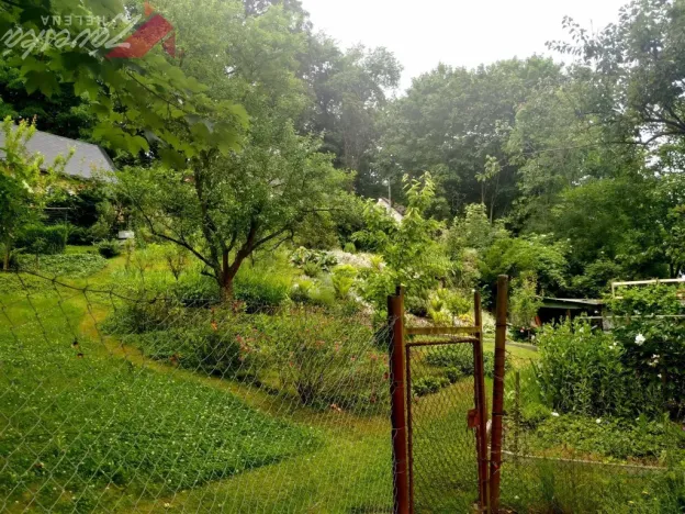 Pronájem bytu 1+1, Mnichovo Hradiště, Příčná, 37 m2