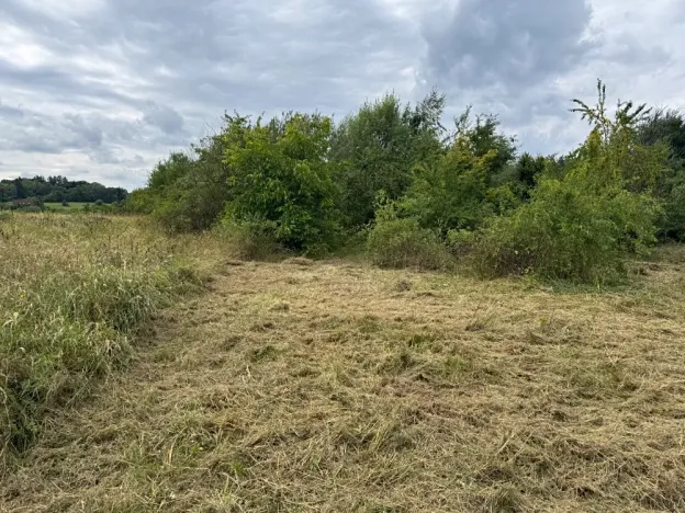 Pronájem pozemku, Ondřejov, 3382 m2