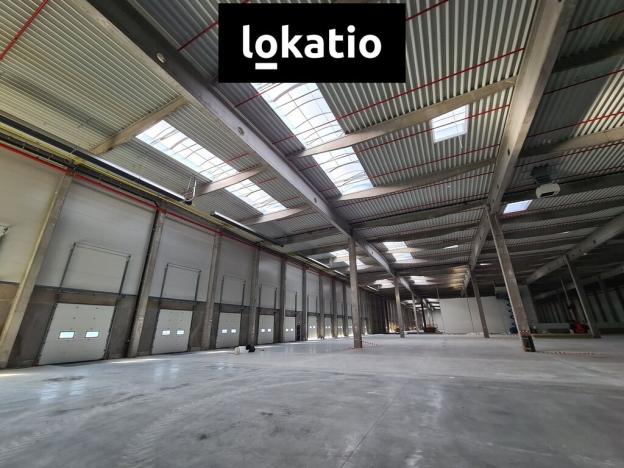 Pronájem skladu, Cheb, 18200 m2