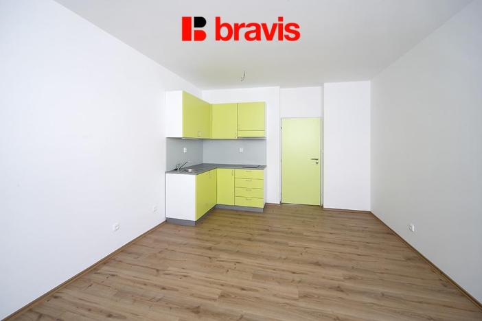 Pronájem bytu 1+kk, Brno, Rybářská, 32 m2