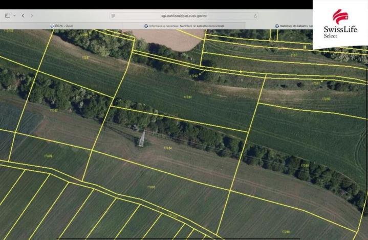 Prodej pole, Brumovice, 9367 m2