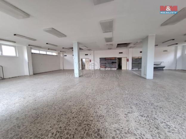 Pronájem obchodního prostoru, Čestice, 484 m2