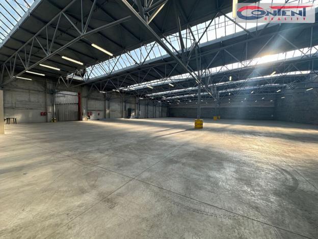 Pronájem výrobních prostor, Žatec, Purkyněho, 8000 m2