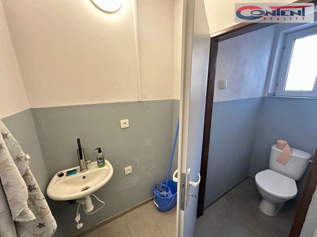 Pronájem výrobních prostor, Žatec, Purkyněho, 8000 m2